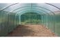 Tunnelserre Filclair Elegant - 44,1 (m²) 420x1050 cm (bxl)